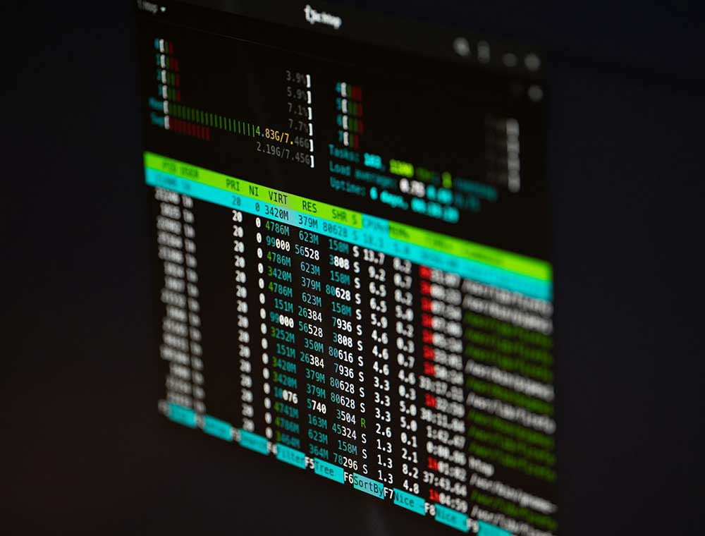 Linux Terminal