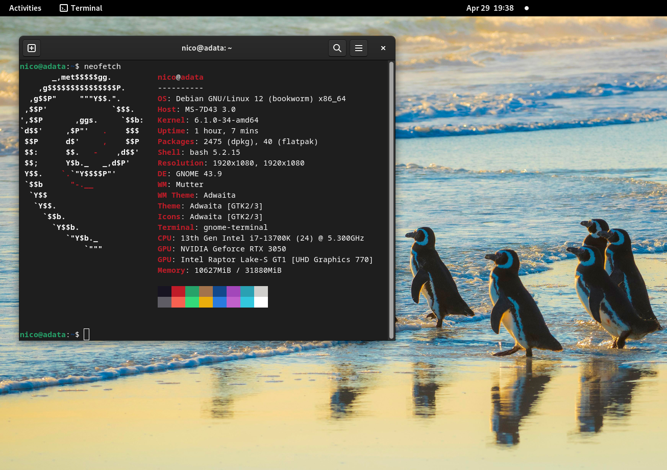 Debian 12 neofetch